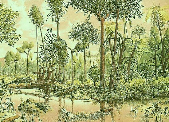 Fig. 1 : La forêt hercynienne – Source : Ac-grenoble.fr