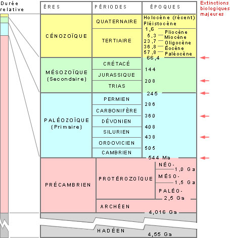 Fig. 2 : Ages de formation des charbons – Source : Svtmarcq.over-blog.com