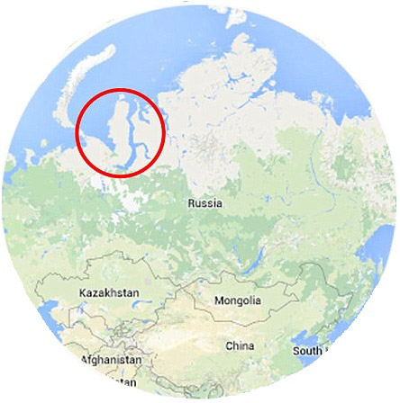 Fig. 2 : Péninsule de Yamal – Source : Siberiantimes.com