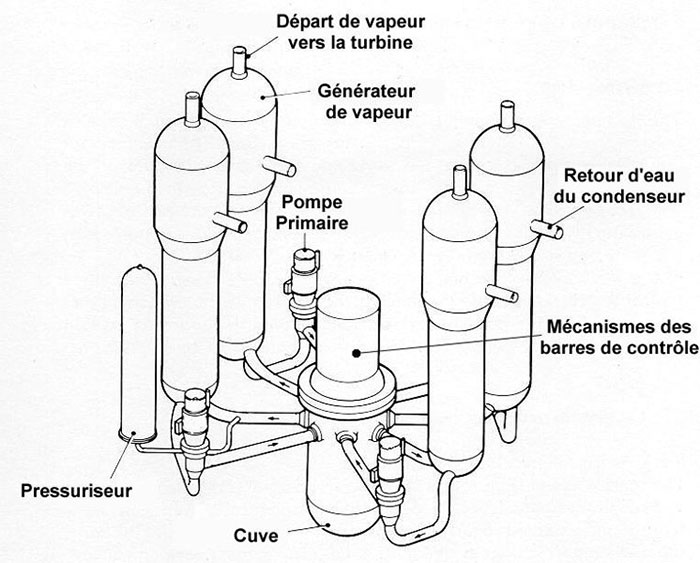 Fig. 5 : Circuit primaire REP à quatre boucles