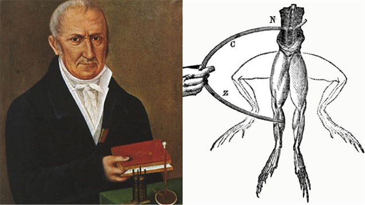 Fig. 4 : Représentations d'Alessandro Volta et de l'expérience de Luigi Galvani sur une grenouille - Source : Wikimedia Commons