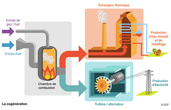 Cogénération et stockage saisonnier de la chaleur pour habitat-tertiaire