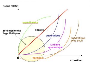 Fig. 7 : Représentation théorique de la relation entre la dose et les effets biologiques