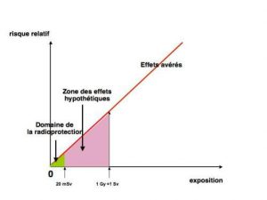 Fig. 8 : Représentation de la zone qui intéresse la radioprotection