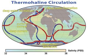 Fig. 7 : Schéma simplifié de la circulation thermo-haline globale – source : www.globalwarmingart.com/images/b/b0/Thermohaline_circulation.png