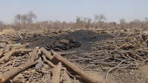 Fig. 6. Production de charbon de bois au mali. Source : maliweb.net