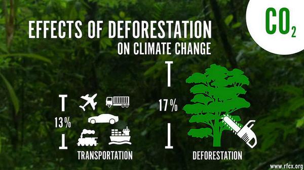 Fig. 6 : Déforestation et émissions de GES. Source : Twitter