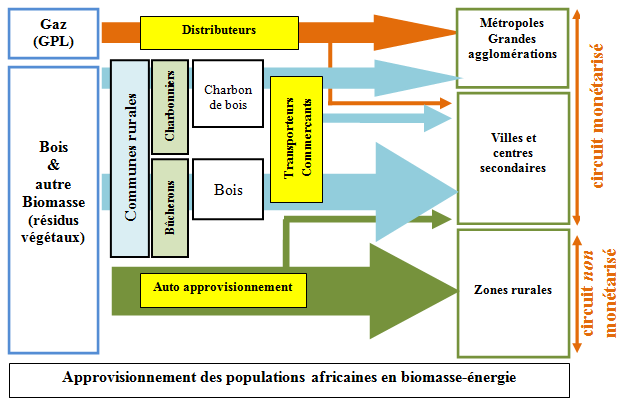 Fig. 5 : Approvisionnement des populations africaines en biomasse-énergie