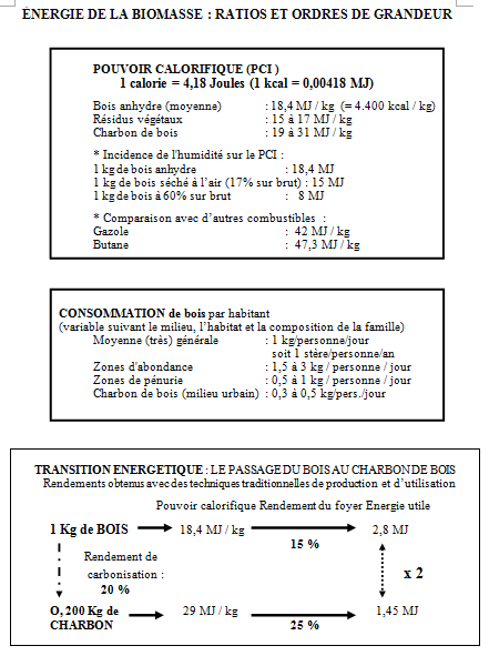 Annexe : Energie de la biomasse, ratios et ordres de grandeur