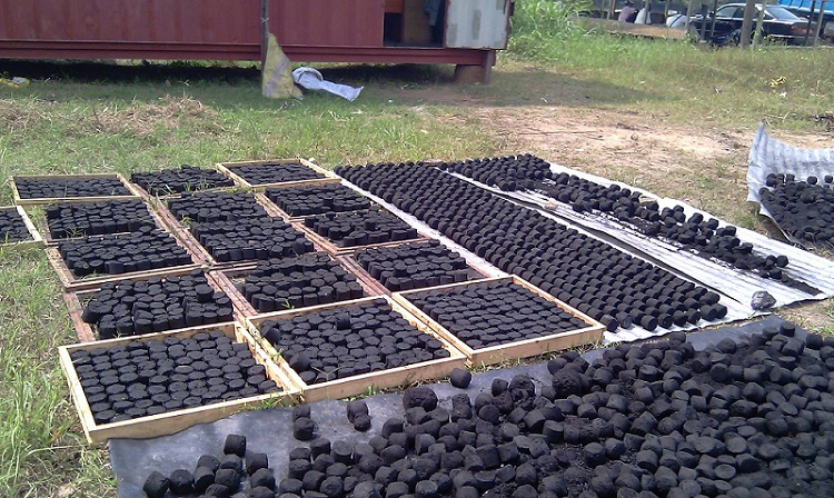 Fig. 3 : Briquettes végétales au Cameroun. Source : Agriculture au Cameroun