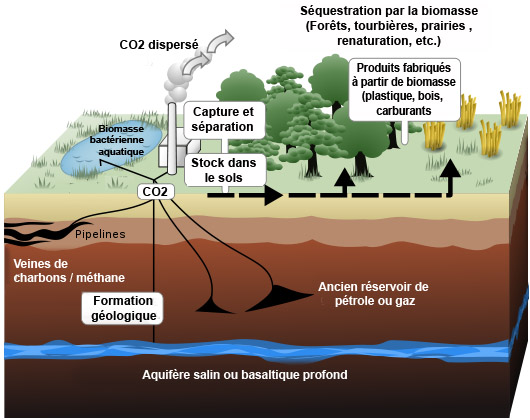 Captage et stockage du carbone (Carbon Capture and Storage –CCS)