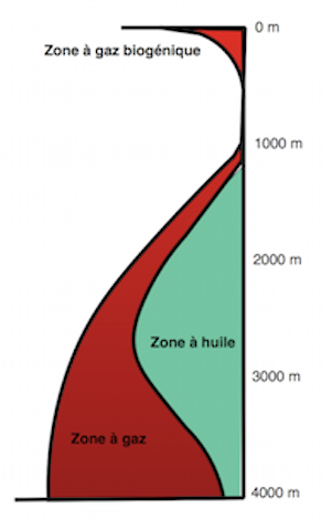 Fig. 1 : Formation et zones de stabilité des hydrocarbures à partir du kérogène en fonction de la profondeur d’enfouissement pour un gradient géothermique normal.