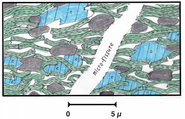  Fig. 3 : Coupe ultramicroscopique d'un gas shale très finement poreux et non perméable. On y voit de la matière organique, en noir, de la calcite rayée, en bleu, des minéraux argileux, en vert, une microfissure et des microporosités, en blanc. Le gaz est dans les microfissures, dans les microporosités non connectées, adsorbé ou occlus dans la calcite, les minéraux argileux et aussi dans la matière organique – Source : dessin Philippe Artru