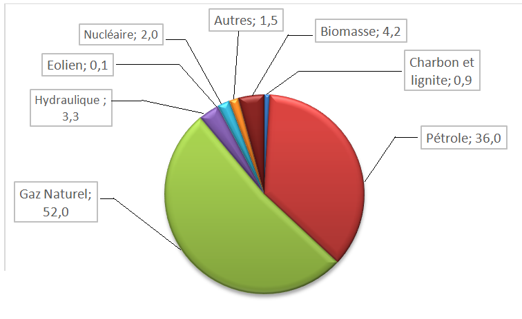 Fig. 3 : Argentine. Consommation d’énergie primaire en 2013 (%) - Source : construction de l'auteur à partir de données d’ENERDATA (2016).