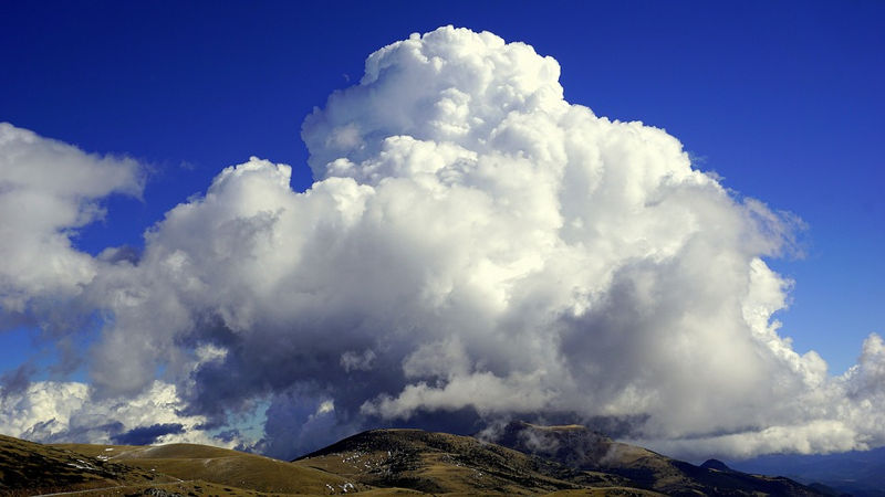 Énergie et climat : la construction des politiques climatiques