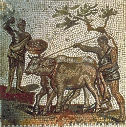 Fig. 3 : La traction animale dans la deuxième transition énergétique. Mosaïque du Site de Saint-Romain-en-Gal, conservé au Musée des Antiquités nationales. Saint-Germain-en-Laye.