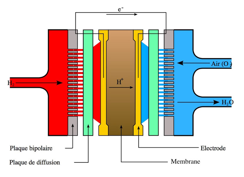 Fig. 1 : Schéma de principe d’une PEMFC. - Source : By Nécropotame [FAL], from Wikimedia Commons