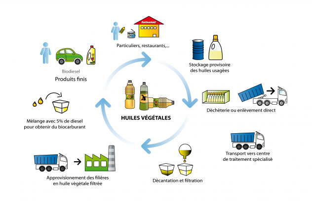 Fig. 6 : Cycle de vie des huiles végétales – Source : Schroll