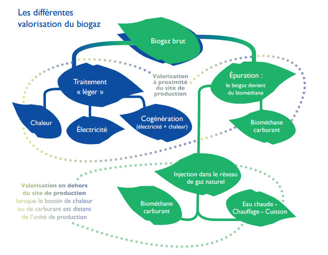 Fig. 20 : Les différentes valorisations du biogaz - Source : http://www.ademe.fr/sites/default/files/assets/documents/d4.1_roadmap_france_french.pdf