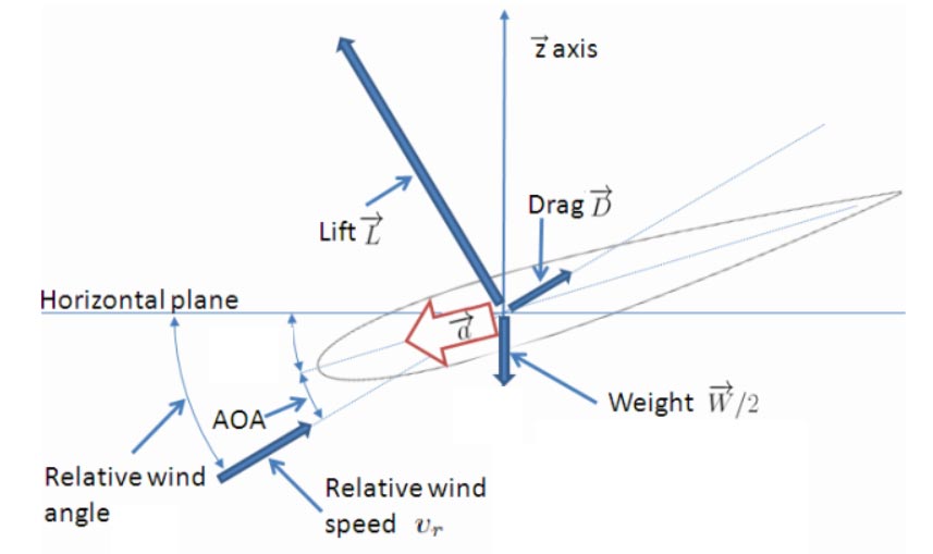 Fig.12 : Ecoulement le long d'une pale de la structure - Source : Thèse Rogelio Lozano [7]