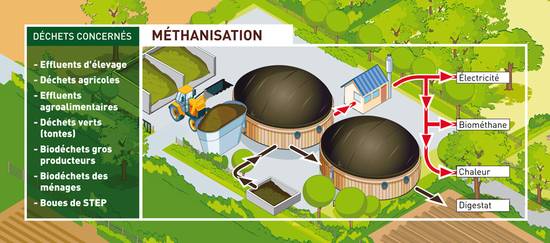 Méthanisation : du traitement des eaux usées à l’injection de biométhane dans le réseau