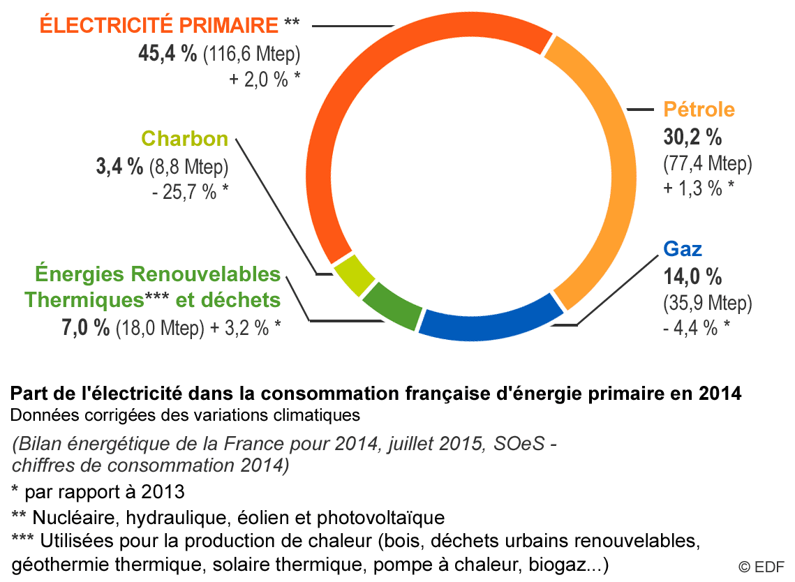 Fig. 4 : Part de l'électricité dans la consommation finale mondiale d'énergie en 2013 – Source : EDF et AIE [12]