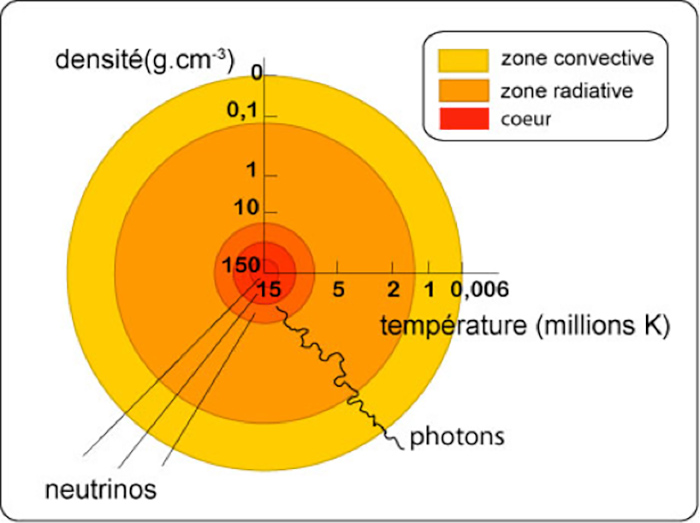 Fig. 1 : Schéma en coupe du soleil