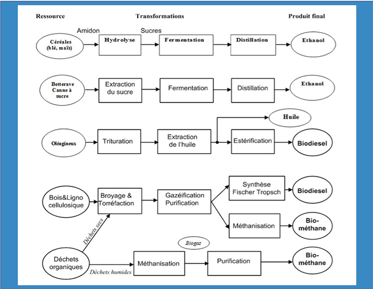 Fig 13 : Filières de production des biocarburants et du biogaz - Source : P.Mathis & H.Bichat.