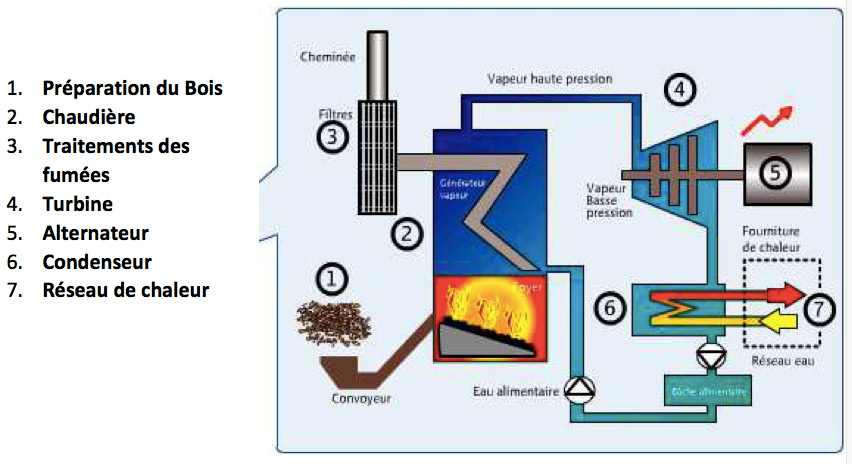 De l'électricité avec du sucre