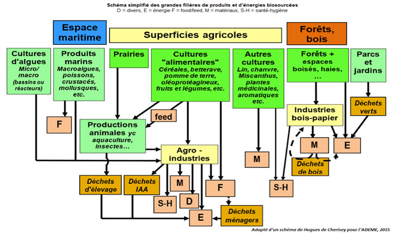 Fig. 2 : Les grands domaines de production de biomasse et leurs filières – Source : ADEME.