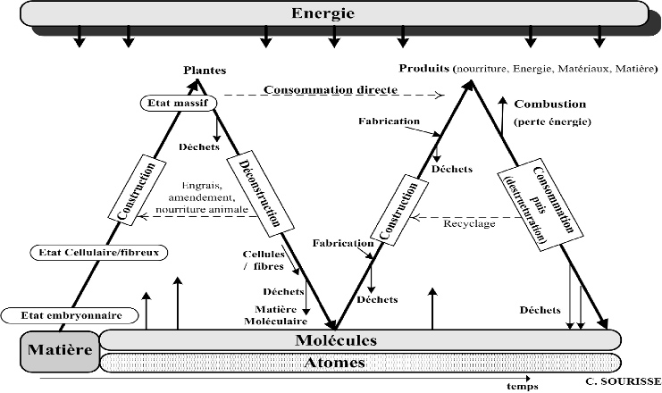 Fig. 6 : Le cycle en M de valorisation de la biomasse : construction et déconstruction. Source : Auteur.
