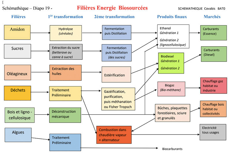 Fig.8 : Les principales filières de production des produits énergétiques