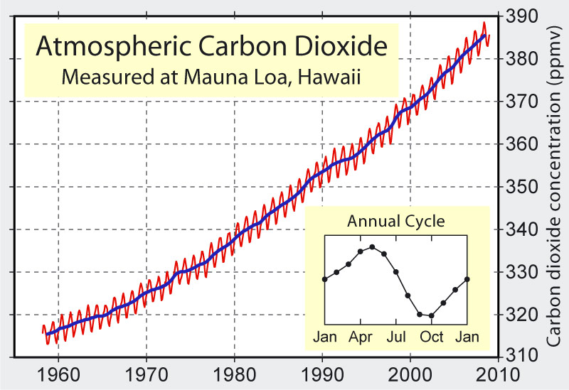 Fig. 9 : Évolution sur 57 ans de la concentration de CO2 dans l’air à l’observatoire de Mauna Loa. La Figure en encart détaille la chute saisonnière du CO2 durant la saison de végétation (d’avril à octobre) et son élévation en automne/hiver de l’hémisphère nord (la végétation terrestre est plus importante dans l’hémisphère nord). Source : Delorme. Travail personnel. Données de Dr. Pieter Tans, NOAA/ESRL and Dr. Ralph Keeling, Scripps Institution of Oceanography.