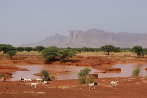 Mali : l'aménagement hydroélectrique de Sélingué. Source : Wikipédia