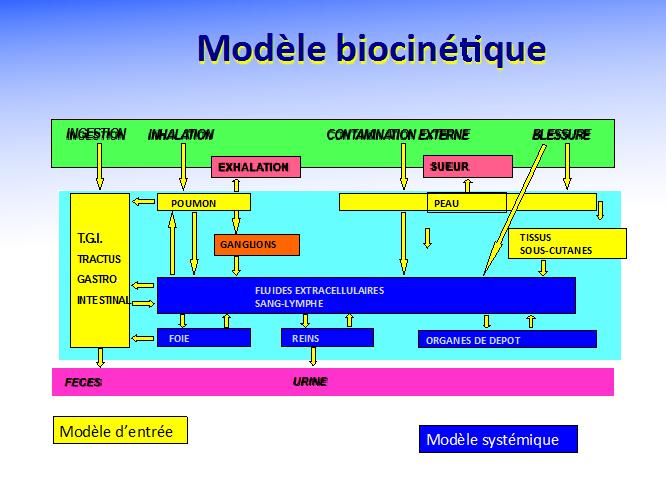 exposition de surface isotopique cosmogénique datantsites de rencontre à Détroit