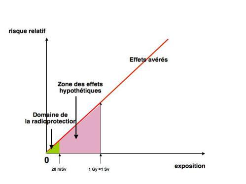 Fig. 3 : représentation de la zone qui intéresse la radioprotection Fig. 3 : représentation de la zone qui intéresse la radioprotection