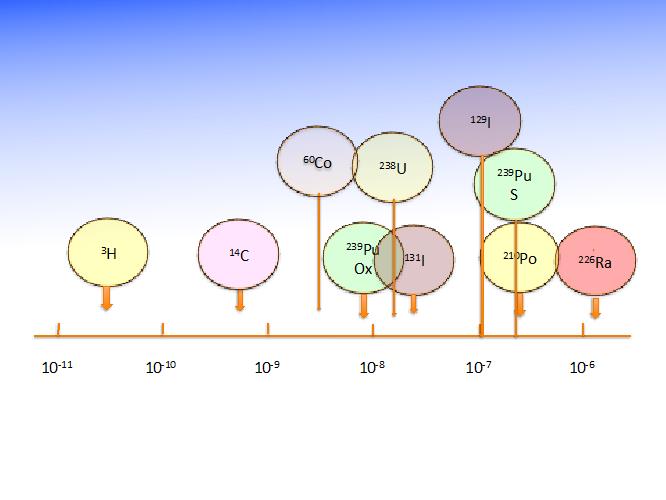 Fig. 4 : Valeur des coefficients de dose après ingestion de 1 Bq de différents radionucléides, exprimés en Sv/Bq. Fig. 4 : Valeur des coefficients de dose après ingestion de 1 Bq de différents radionucléides, exprimés en Sv/Bq.