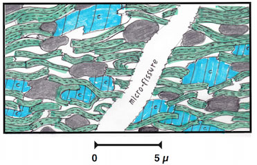 Fig. 3 : Coupe microscopique d’un oil shale. Le pétrole et du gaz humide occupent les vides et la fissure (en blanc). En vert des minéraux argileux, en bleu la calcite, en noir des amas de kérogène. Encyclopedie energie - petrole schistes - coupe microscope oile shale