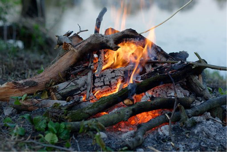 De la découverte du feu à la combustion de la biomasse