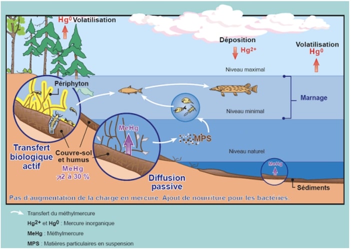 🔵Choisir - Sciences de l'hydraulique et de l'Environnement