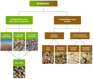 Combustion de la Biomasse et avenir de la forêt ? - Encyclopédie de l ...